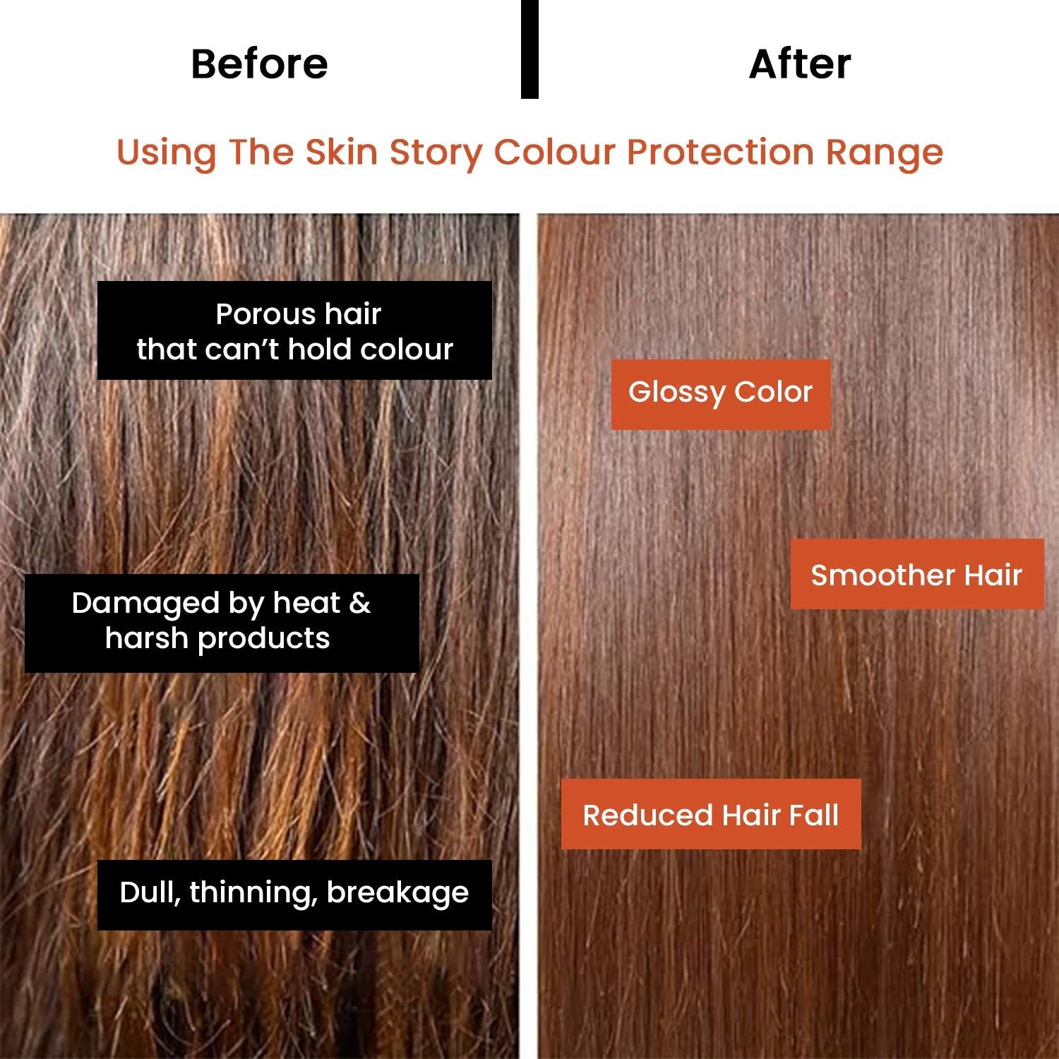 Colour Protection Duo - Image 9